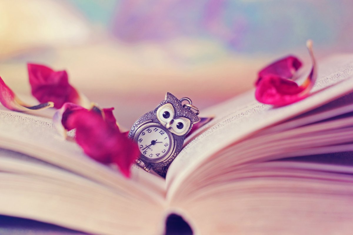 Книга цветы