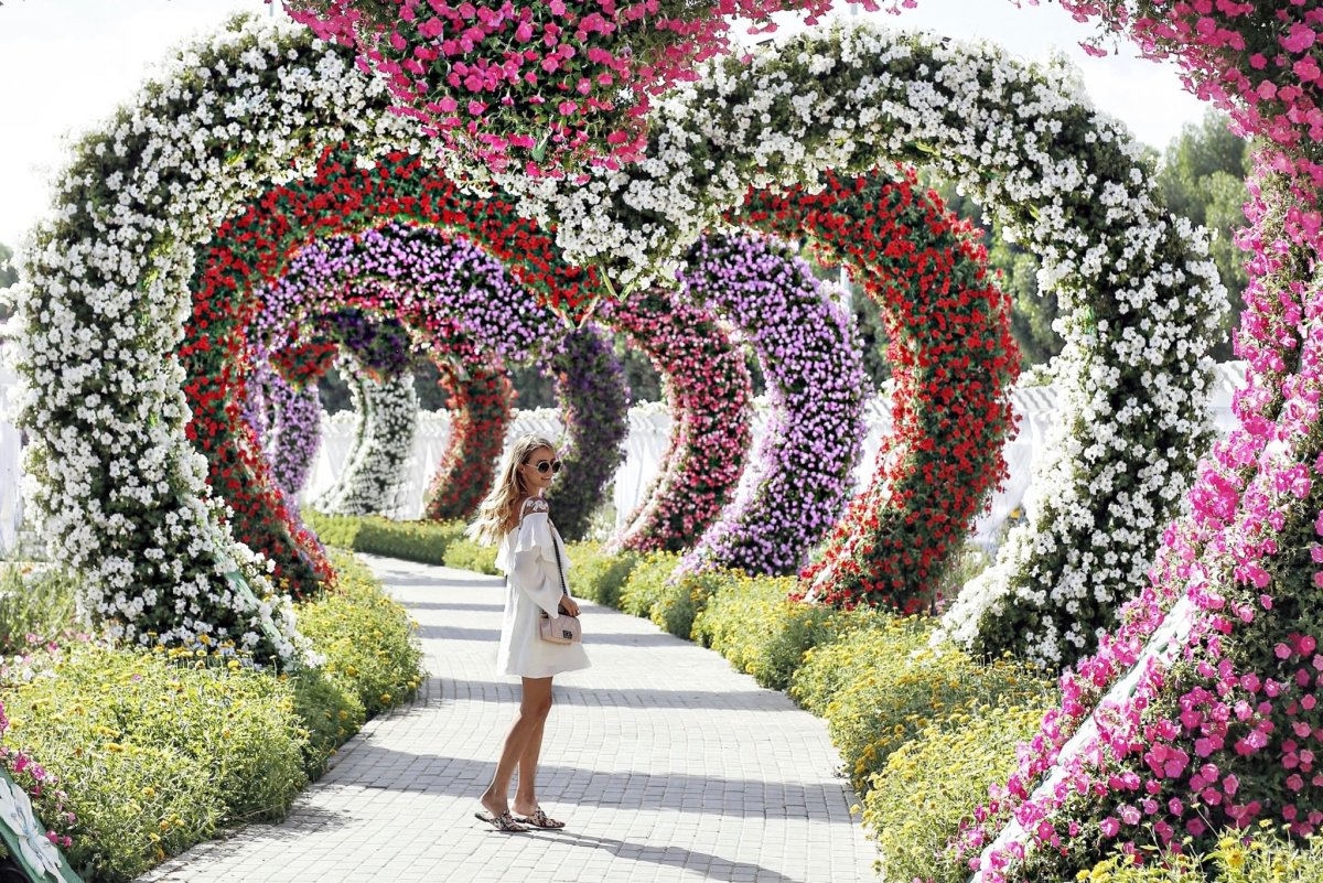 Dubai Miracle Garden амфитеатр