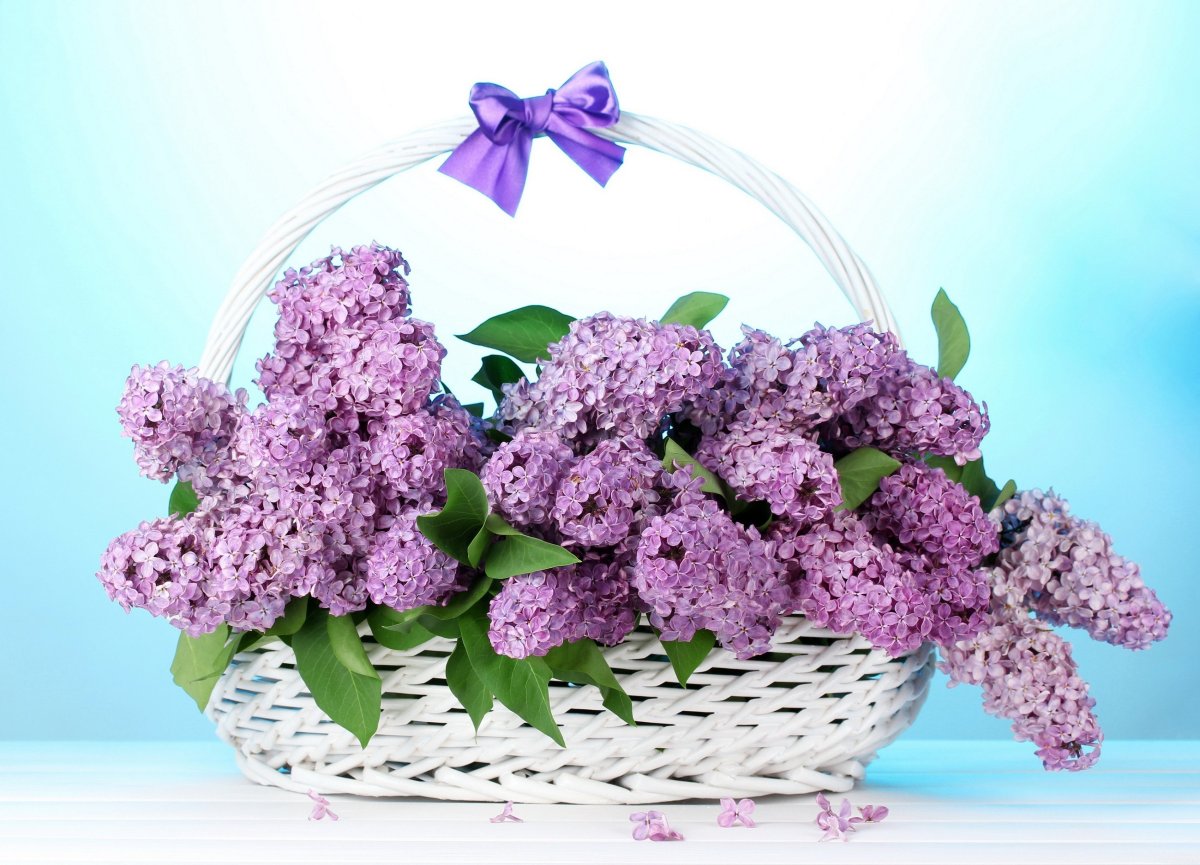 Открытка цветы