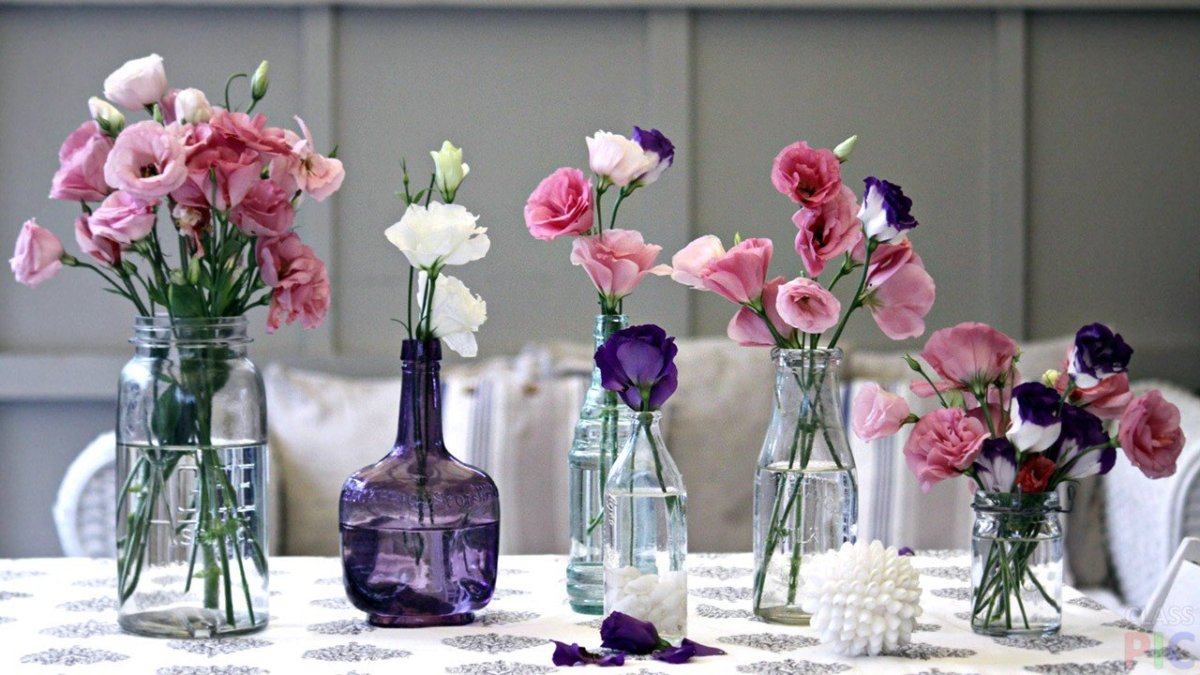 Malina Decor Нижний Новгород