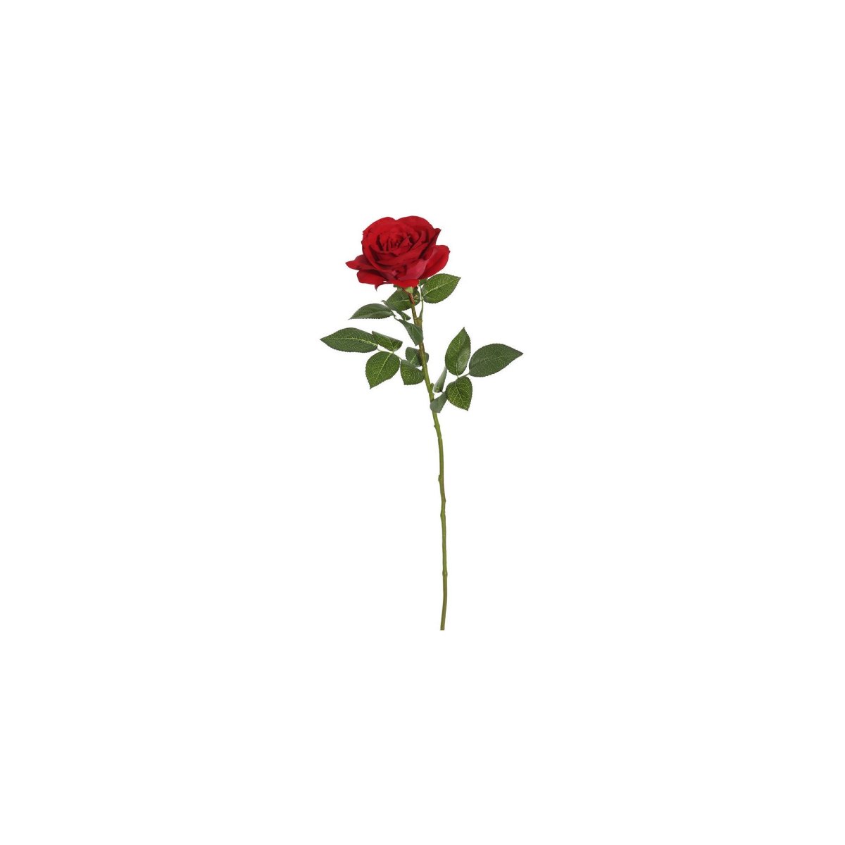 Розы наклейки
