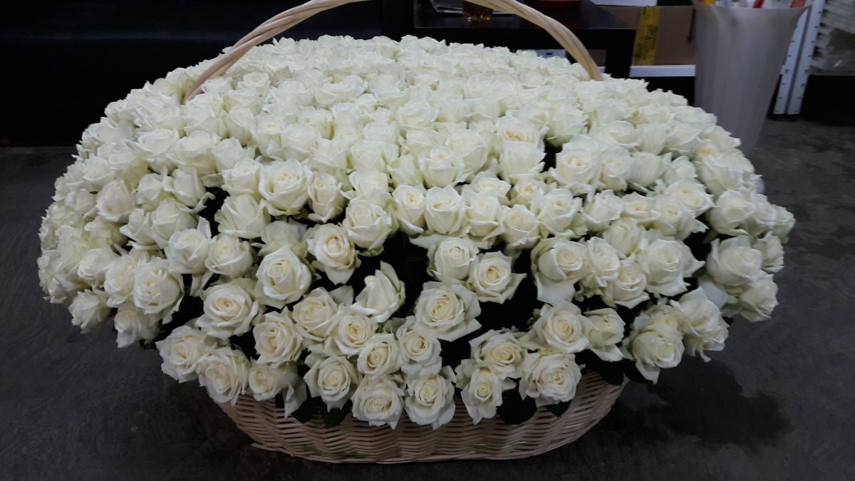Шикарный букет белых роз