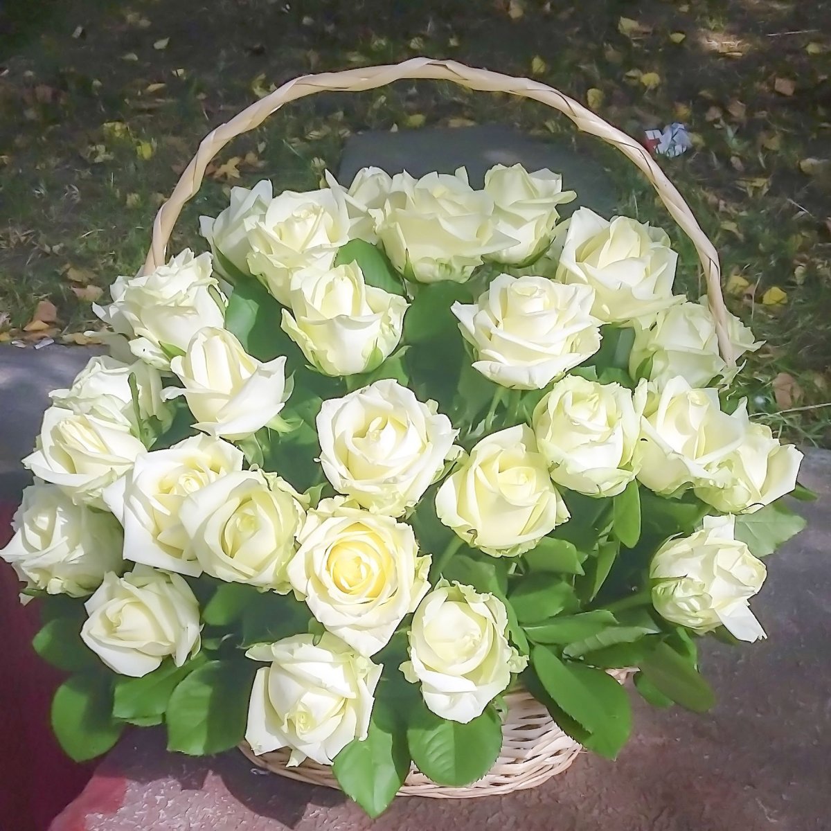 Шикарный букет белых роз