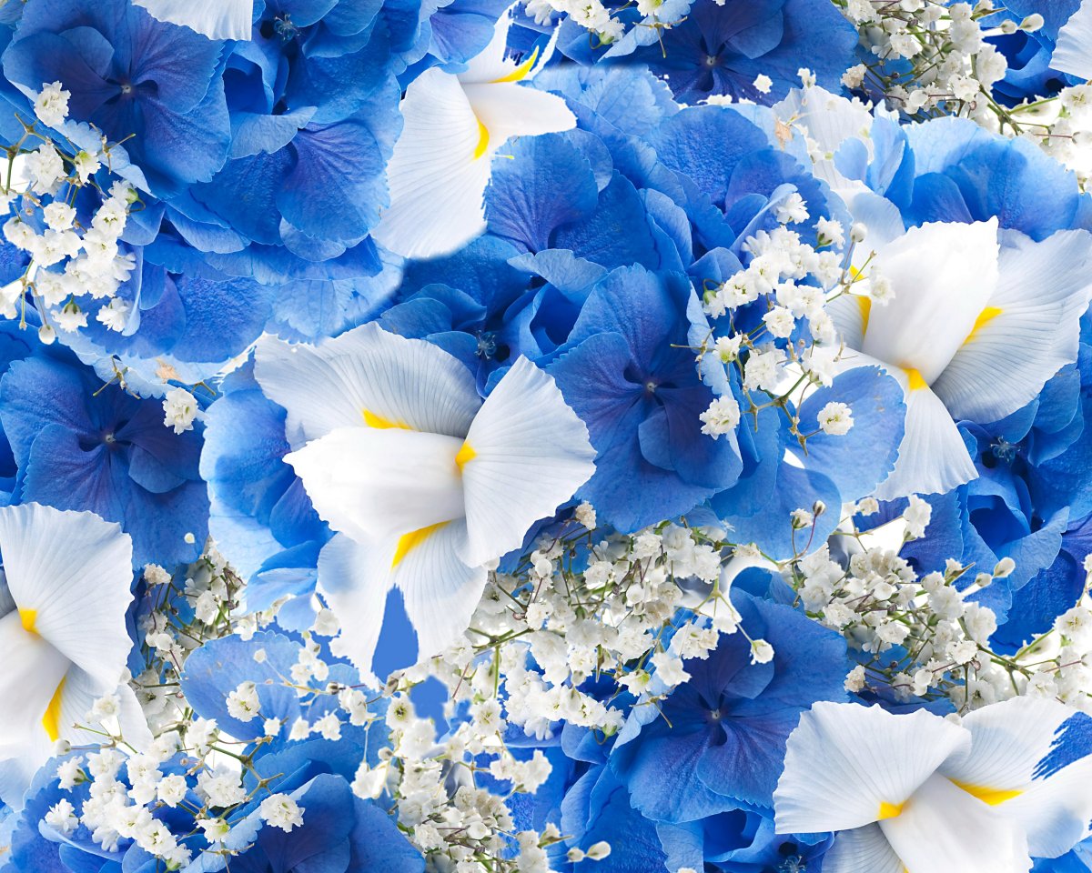 Букет цветов в голубых тонах