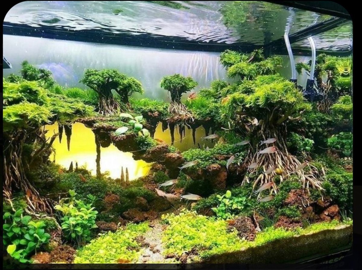 Акваскейп Логово химер