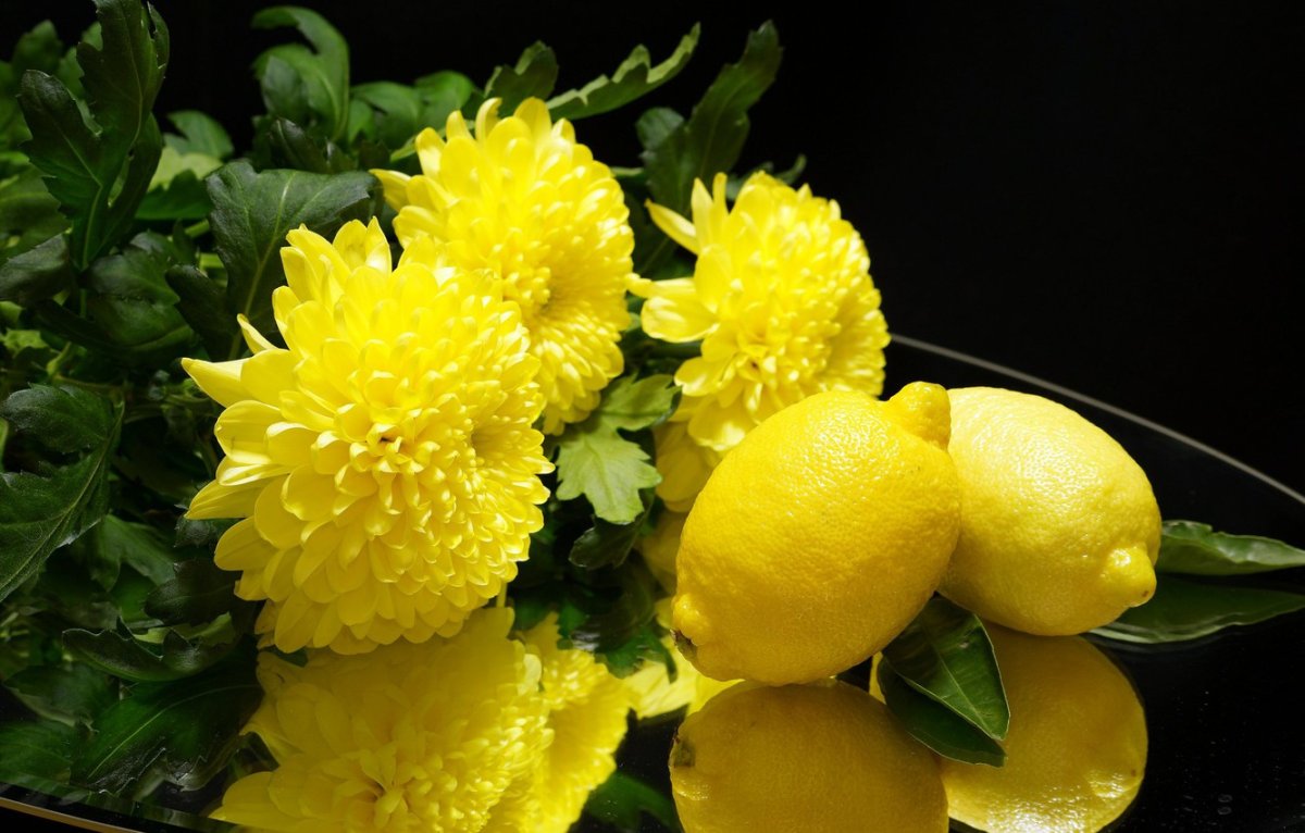 Лимонные цветы