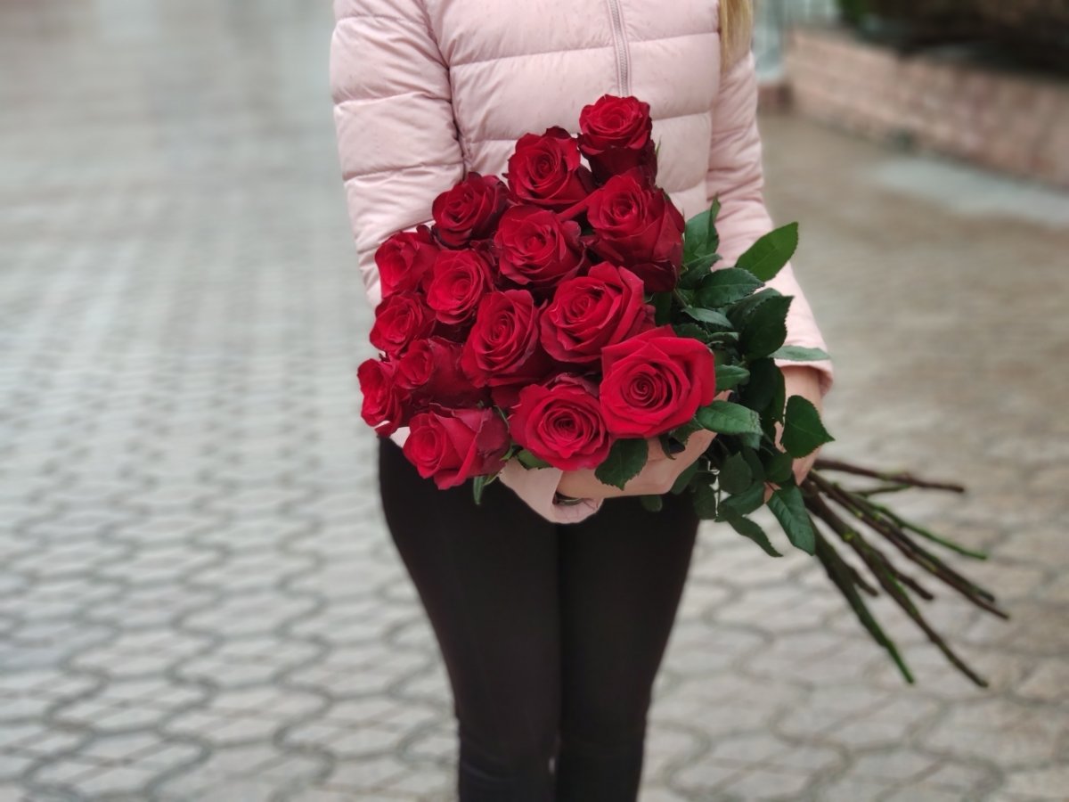 Роза эксплорер 70см Эквадор