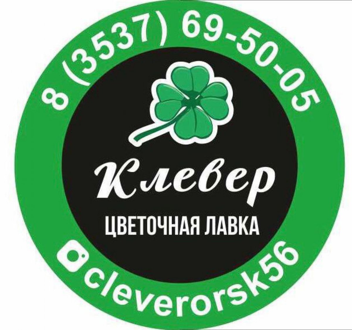Столовая Клевер Орск