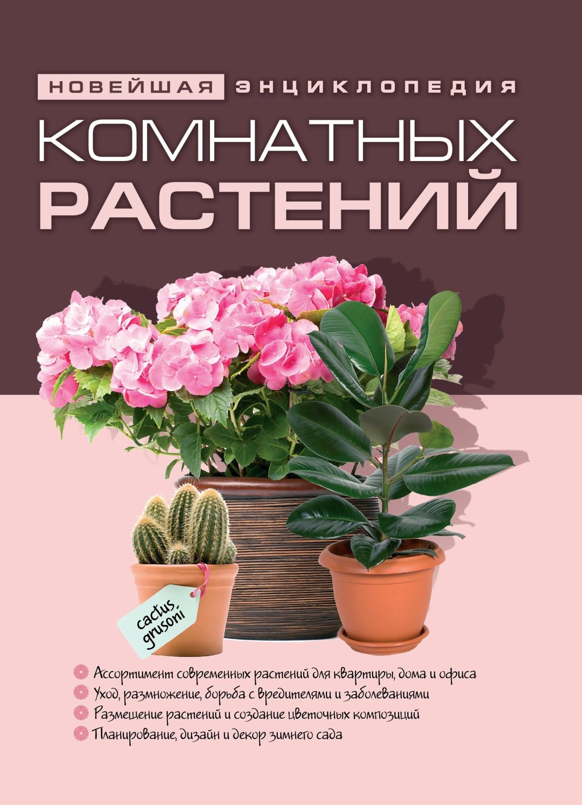 Реклама комнатных растений