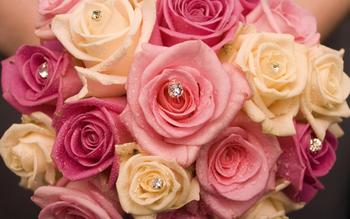 Сочетание цветов роз