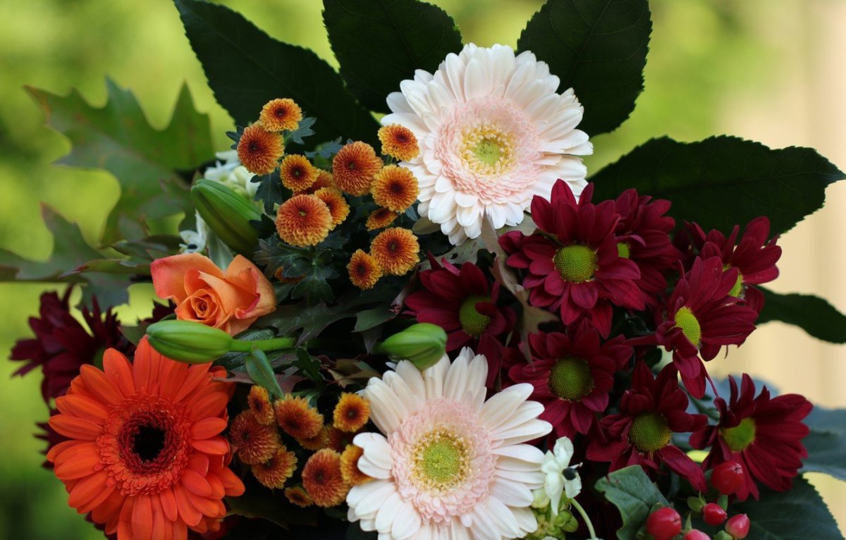 Букет цветов герберы и хризантемы