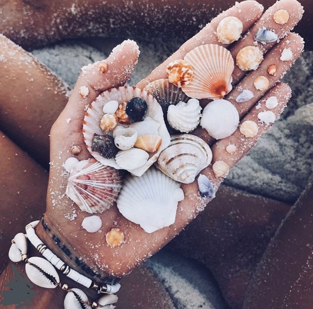 Summer Эстетика