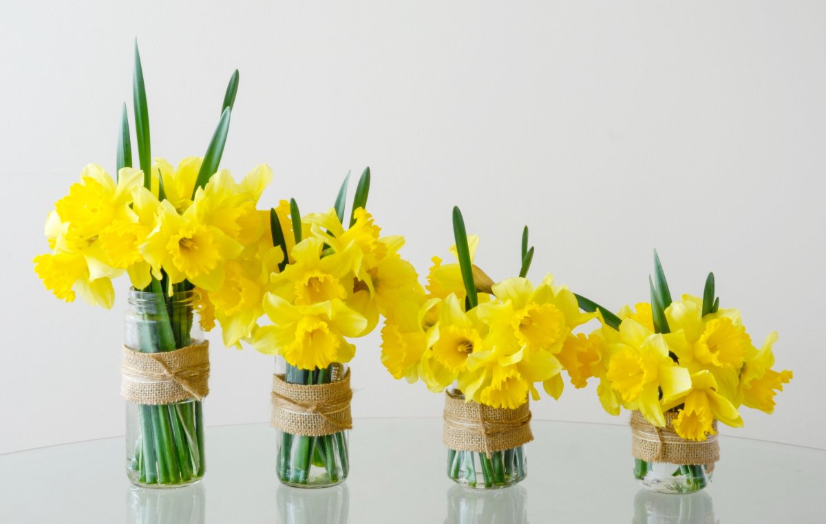Floral Arrangements using Daffodils