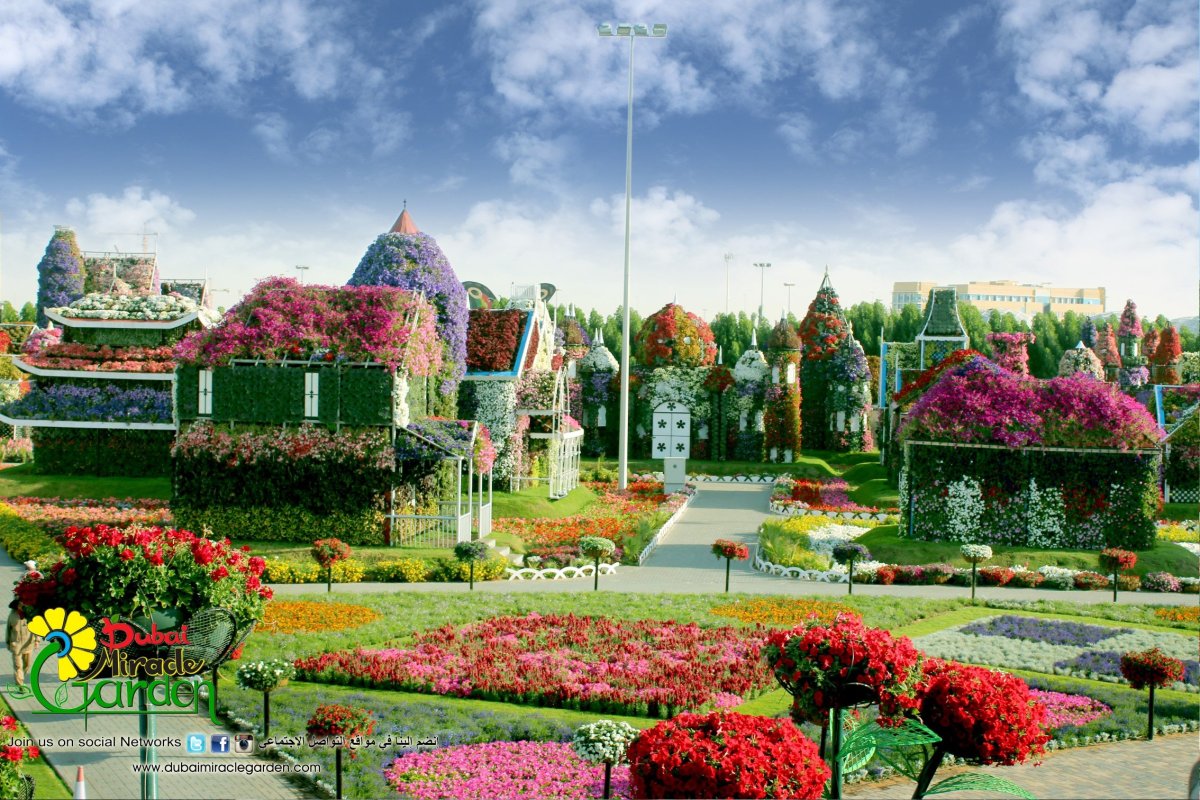 Парк цветов Miracle Garden Дубай