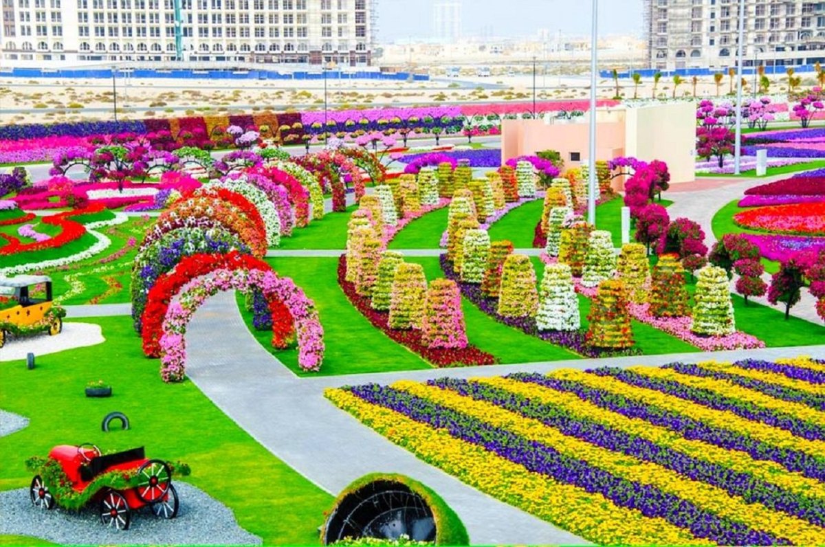 Парк Миракл Гарден Дубай
