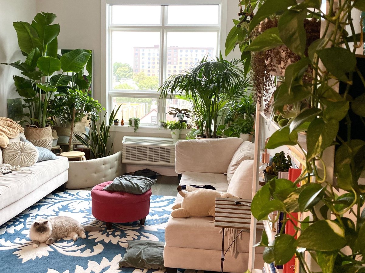 Indoor Scene