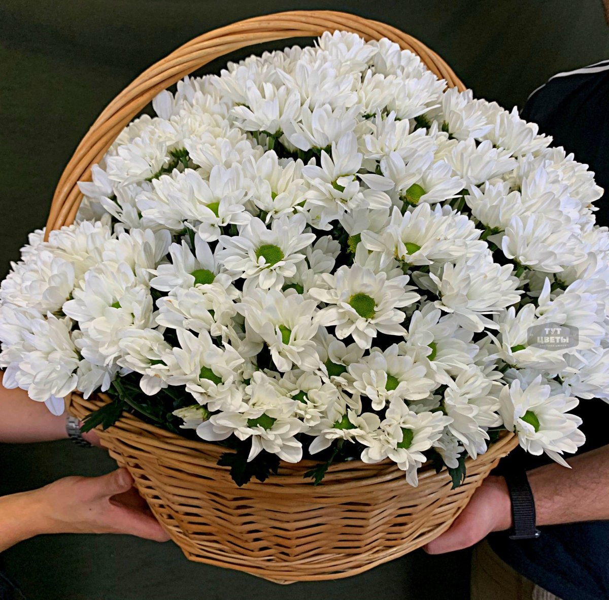 Букет из белых одноголовых хризантем