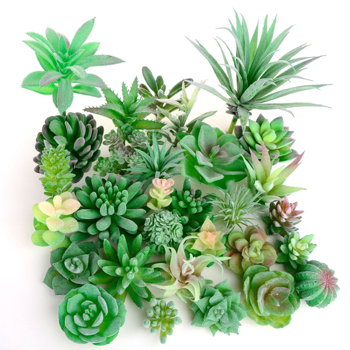 Huajing Plastic Flower суккулент