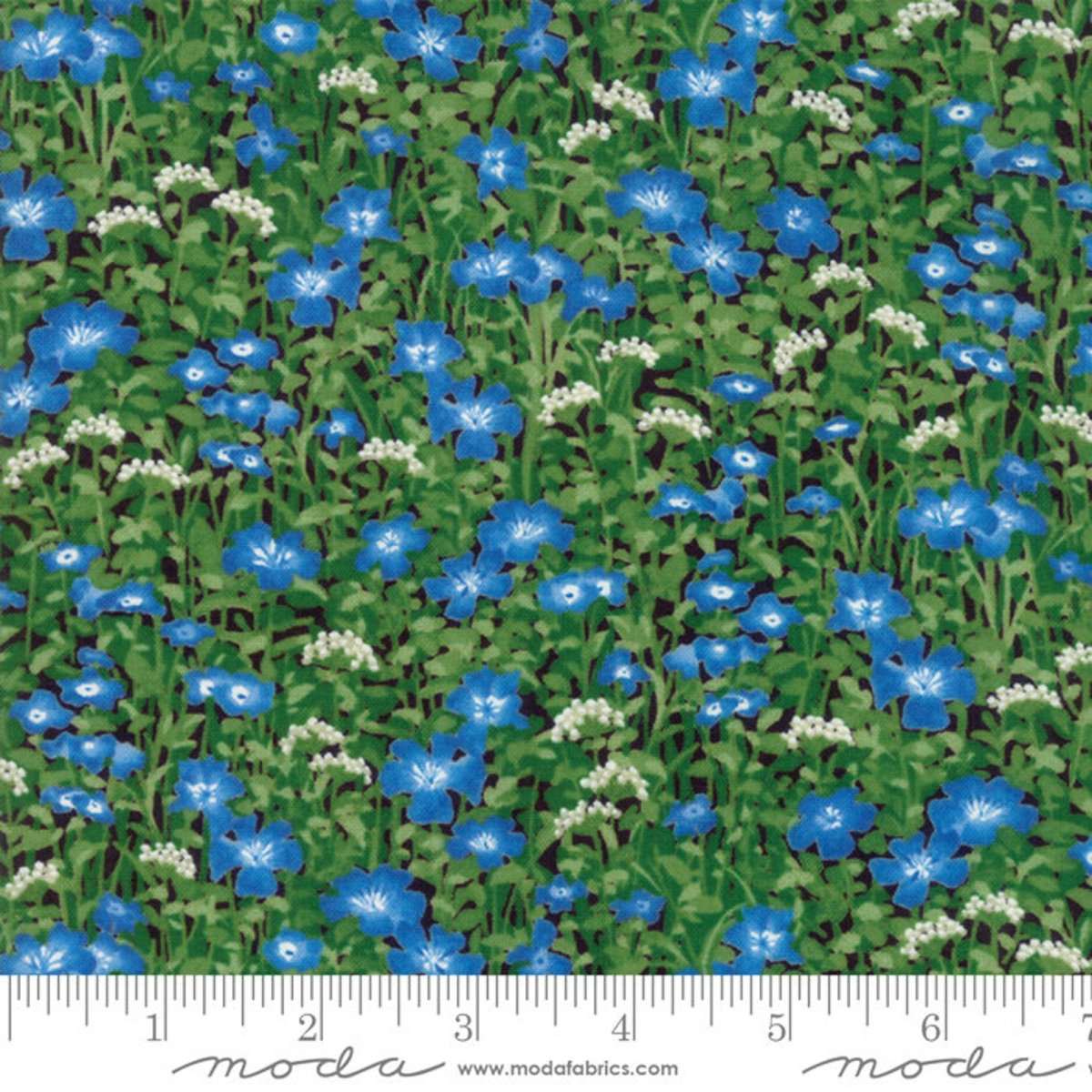 Коллекция Wildflower
