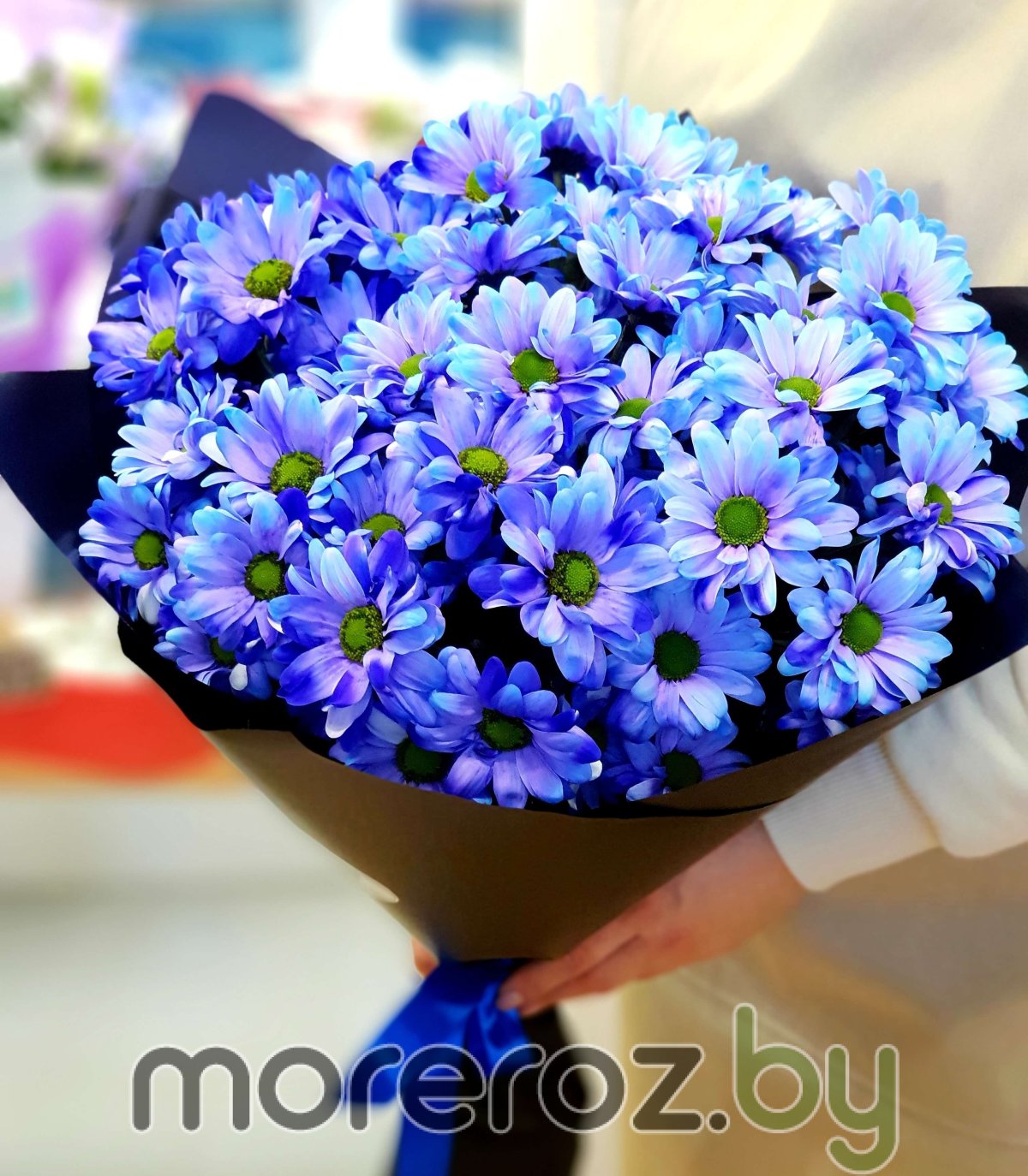 Хриза Ромашка голубая