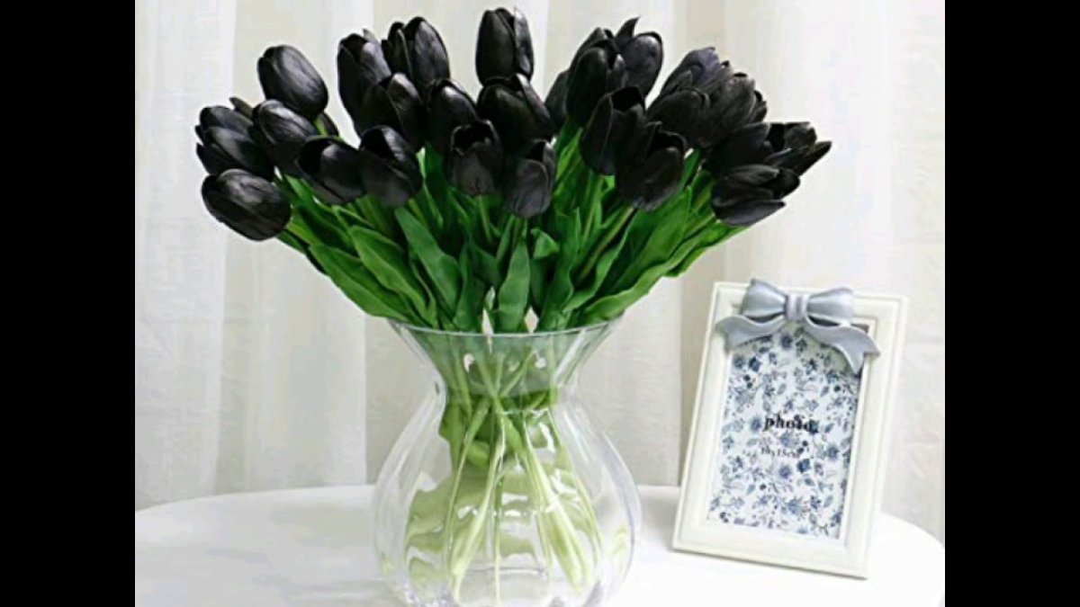 Черные тюльпаны цветы