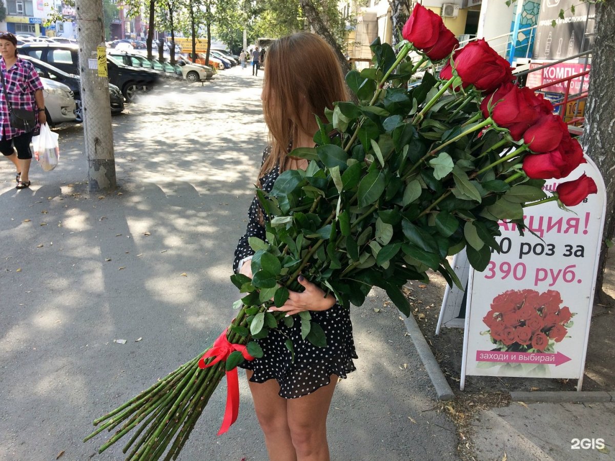 Высокие розы