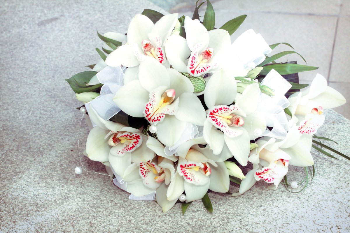 Шикарный букет орхидей