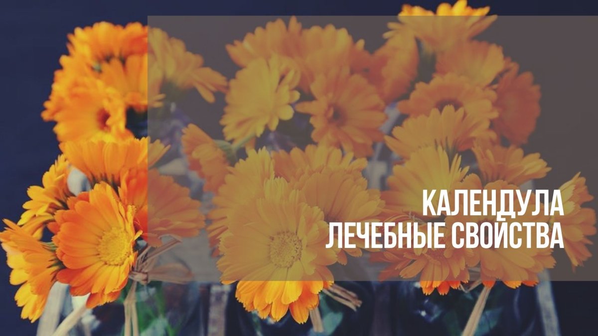 30 Ноготков цветы