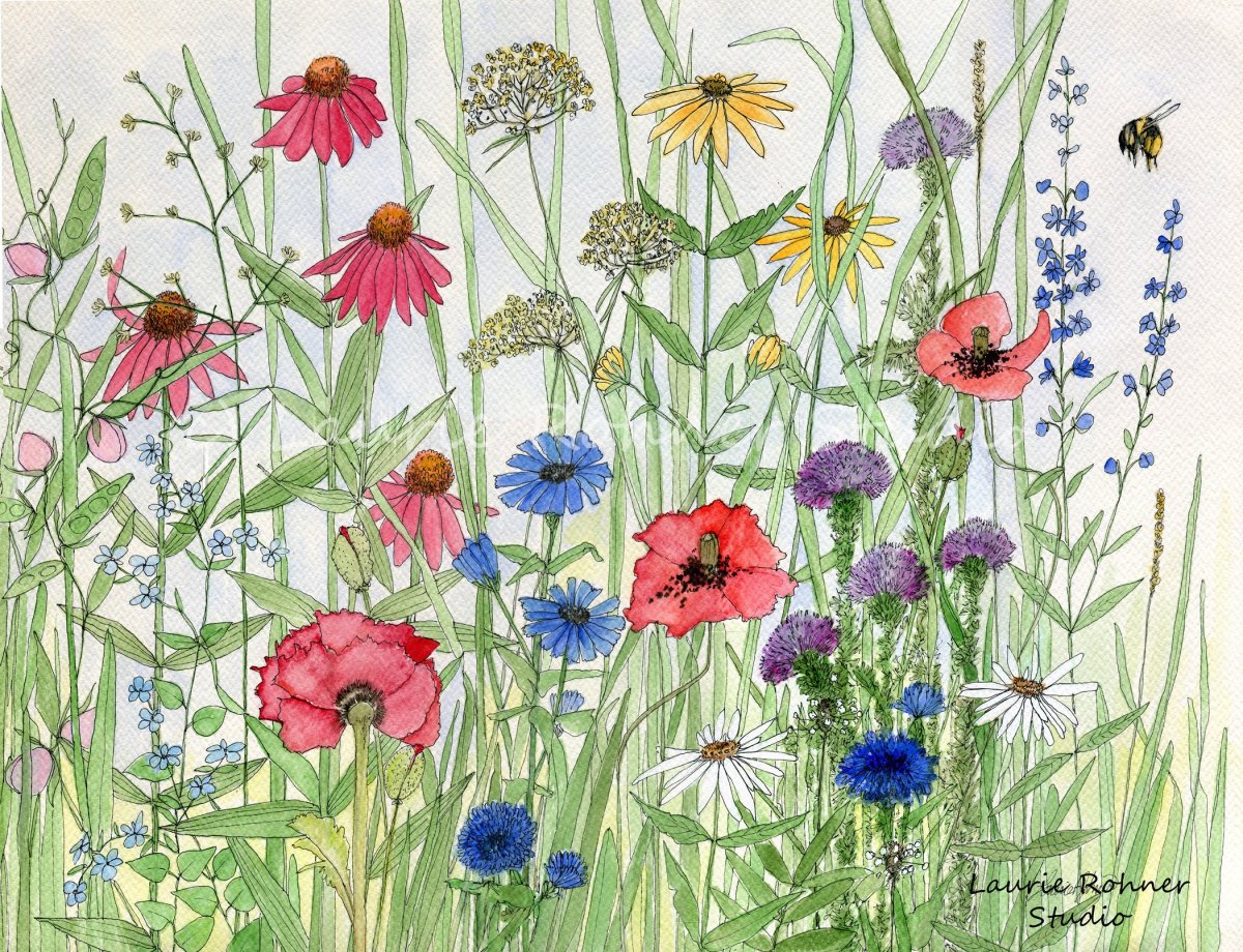 Ботанические цветочные иллюстрации Wildflowers