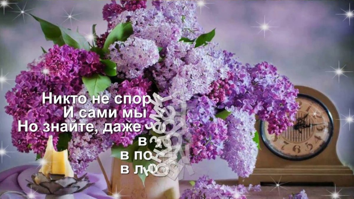 Приметы с сиренью