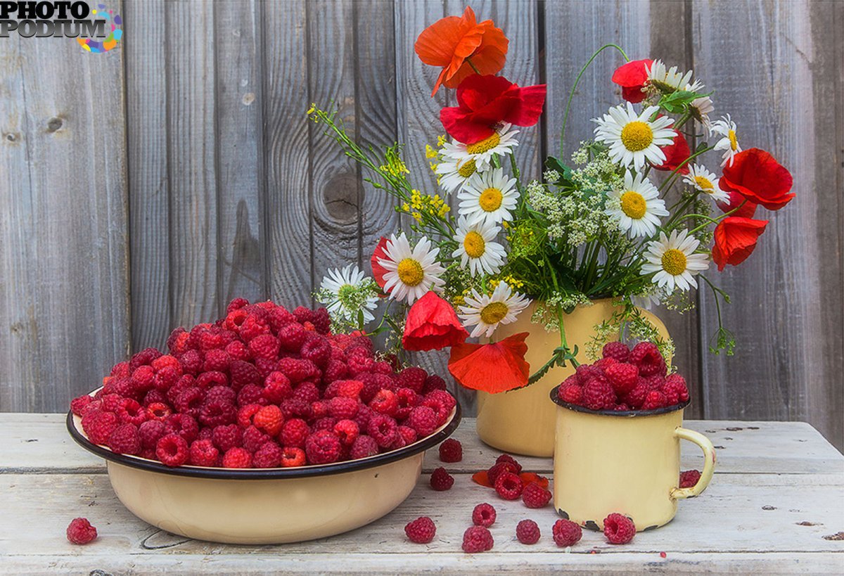 Натюрморт с малиной и ромашками
