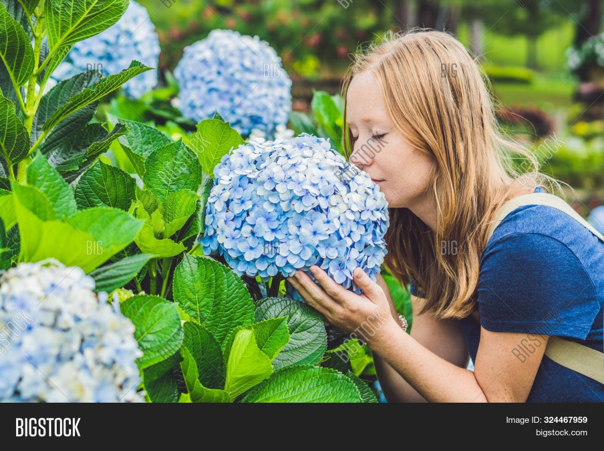 Фотосессия девушка с гортензией