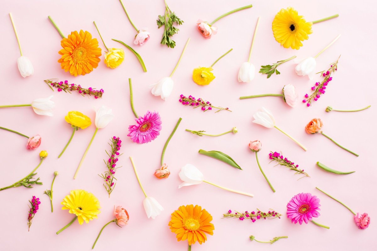 Spring aesthetic
