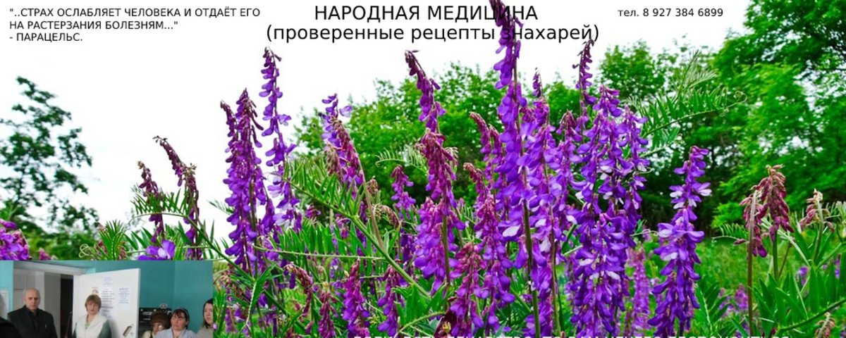 Синтарин трава царь