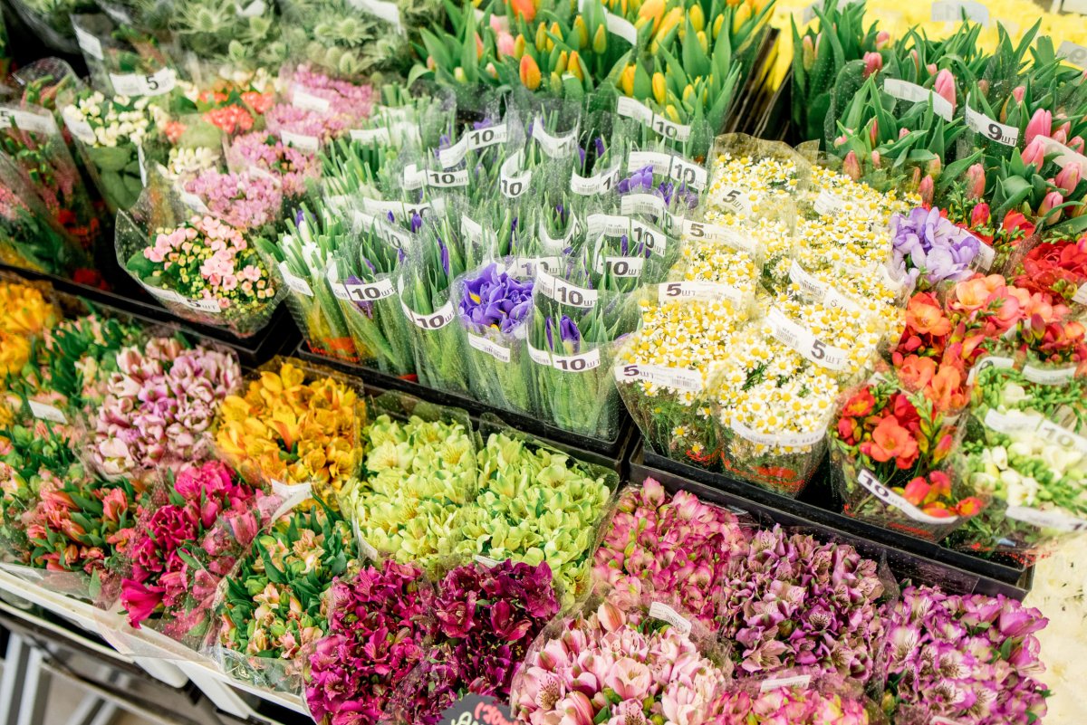 Голландские цветочные магазины