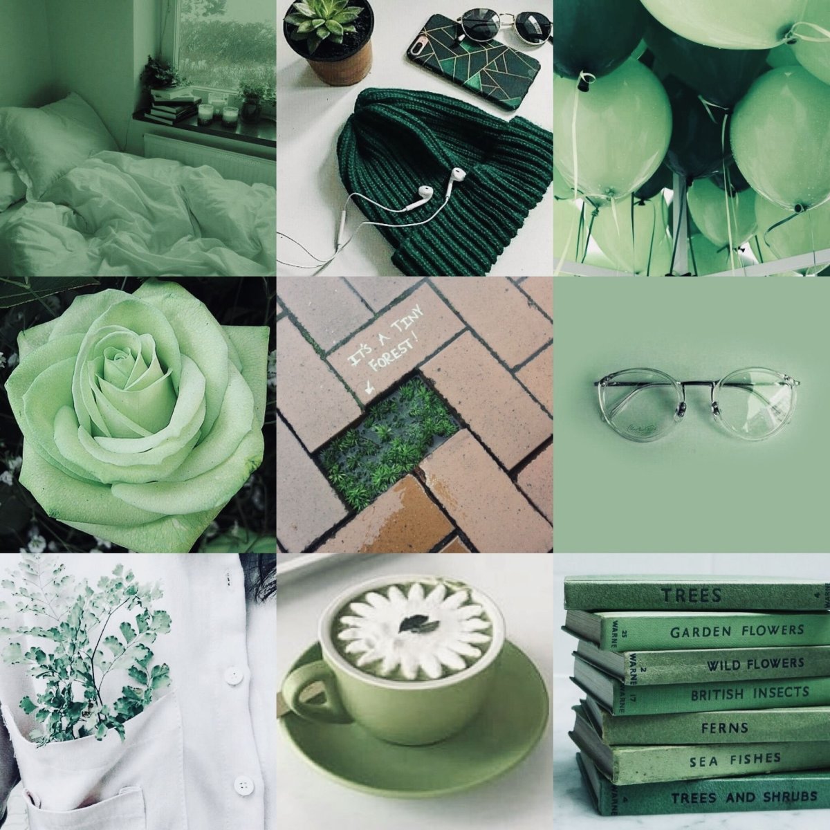 Sage Green Эстетика