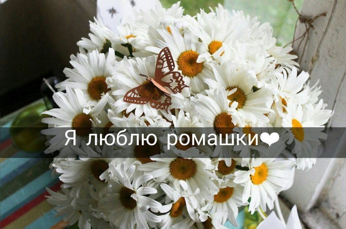 Шикарный букет ромашек