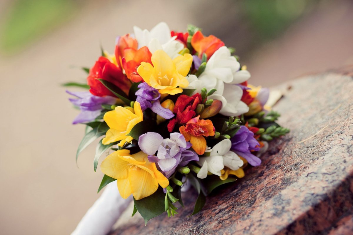Фрезия цветок в букете невесты