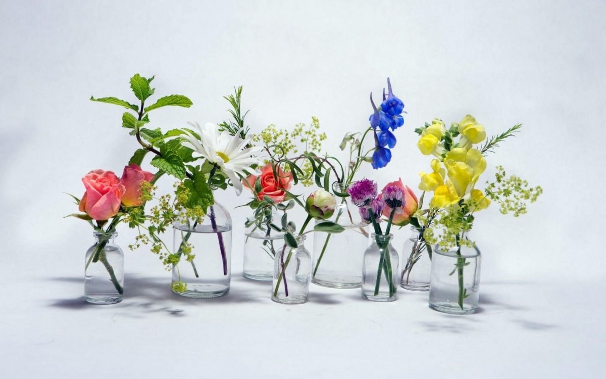 Композиции в стаканчиках с живыми цветами