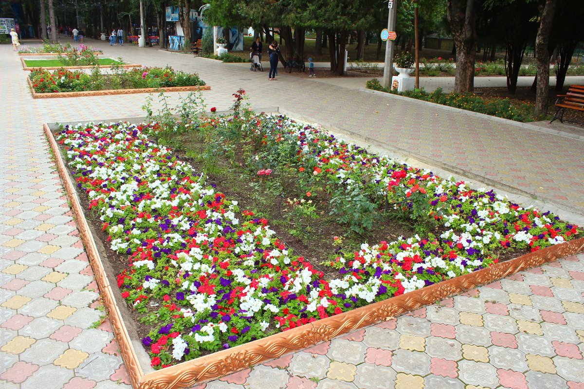 Парк Тренева цветочные клумбы Симферополь