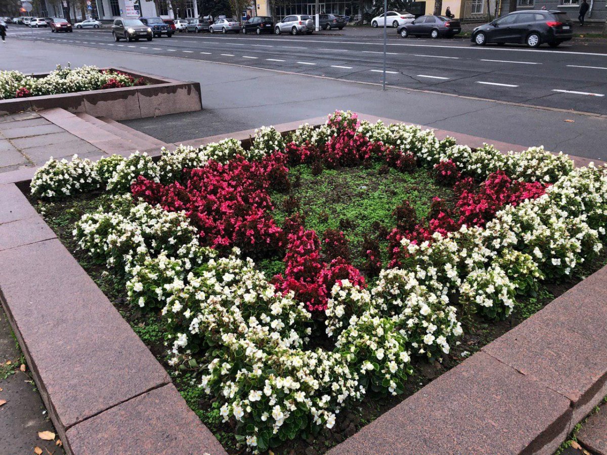 Клумбы Чебоксары