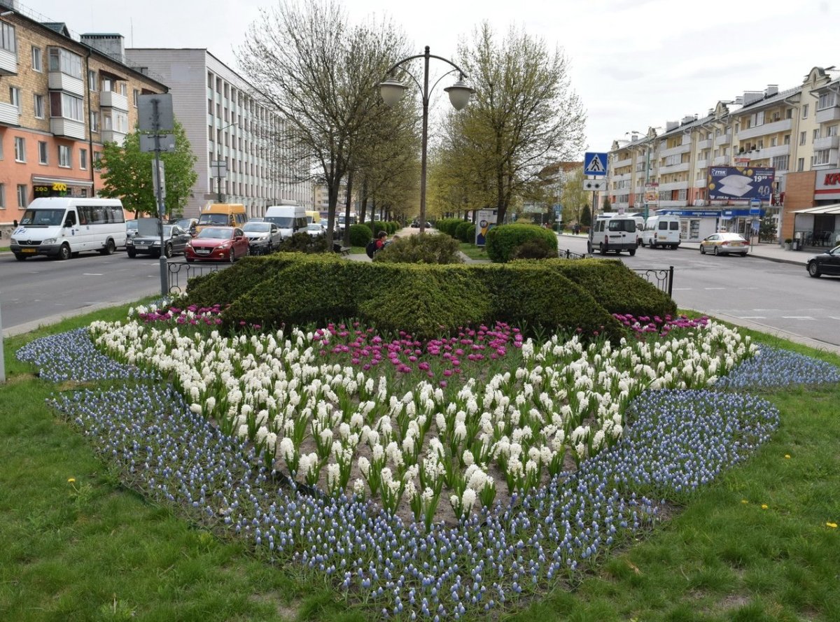 Озеленение РБ