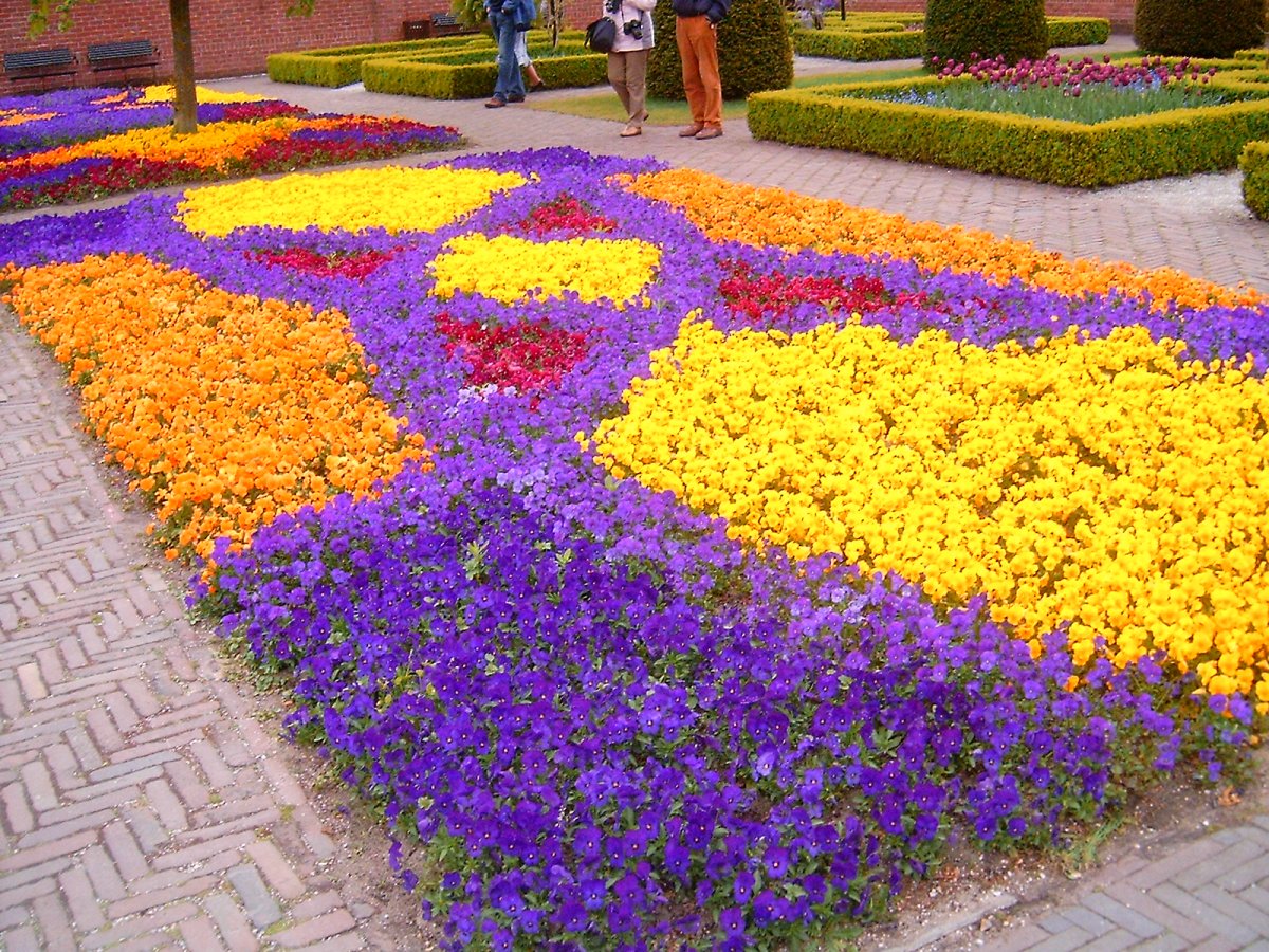 Ковровая клумба