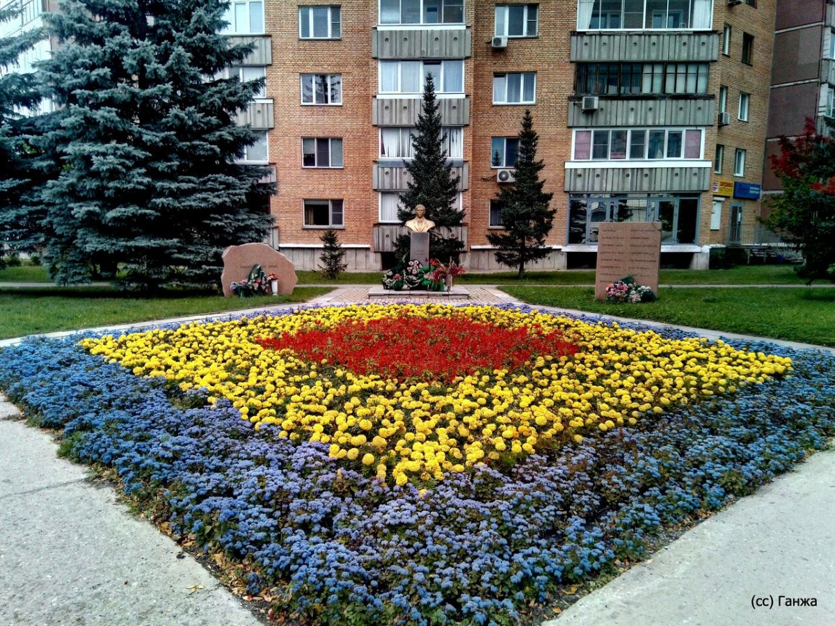 Улица Демакова Академгородок