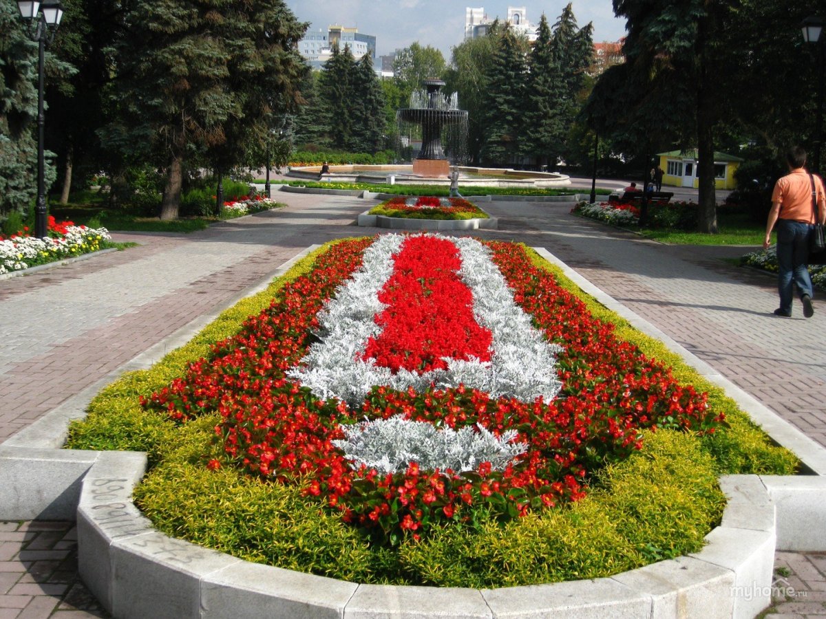 Квадратная клумба из однолетников