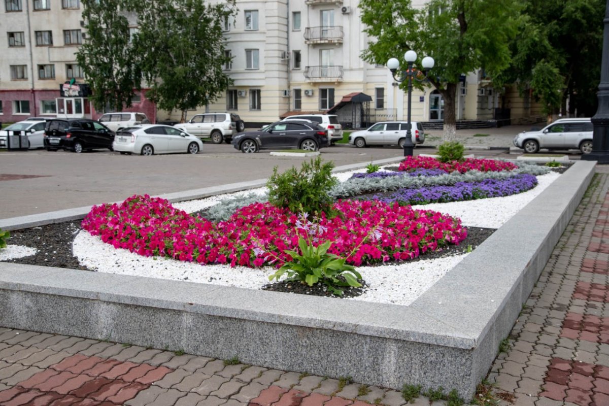 Клумбы Таруса площадь Ленина