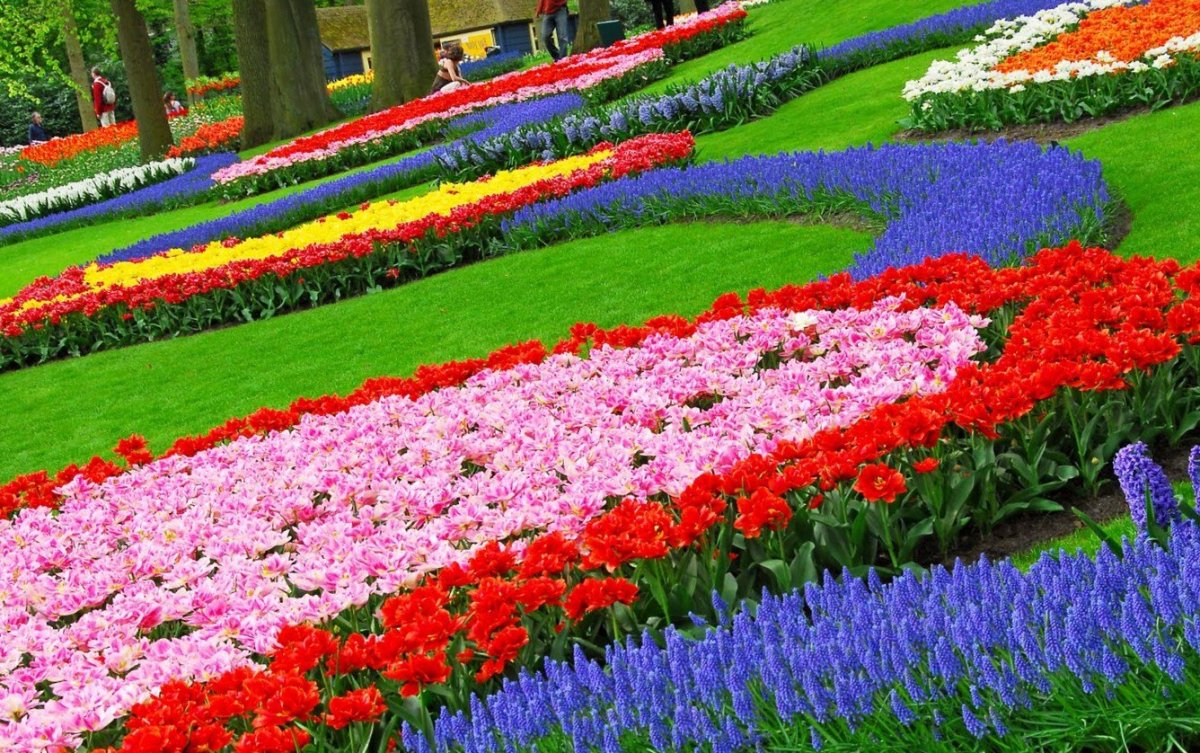 New Flower Worlds