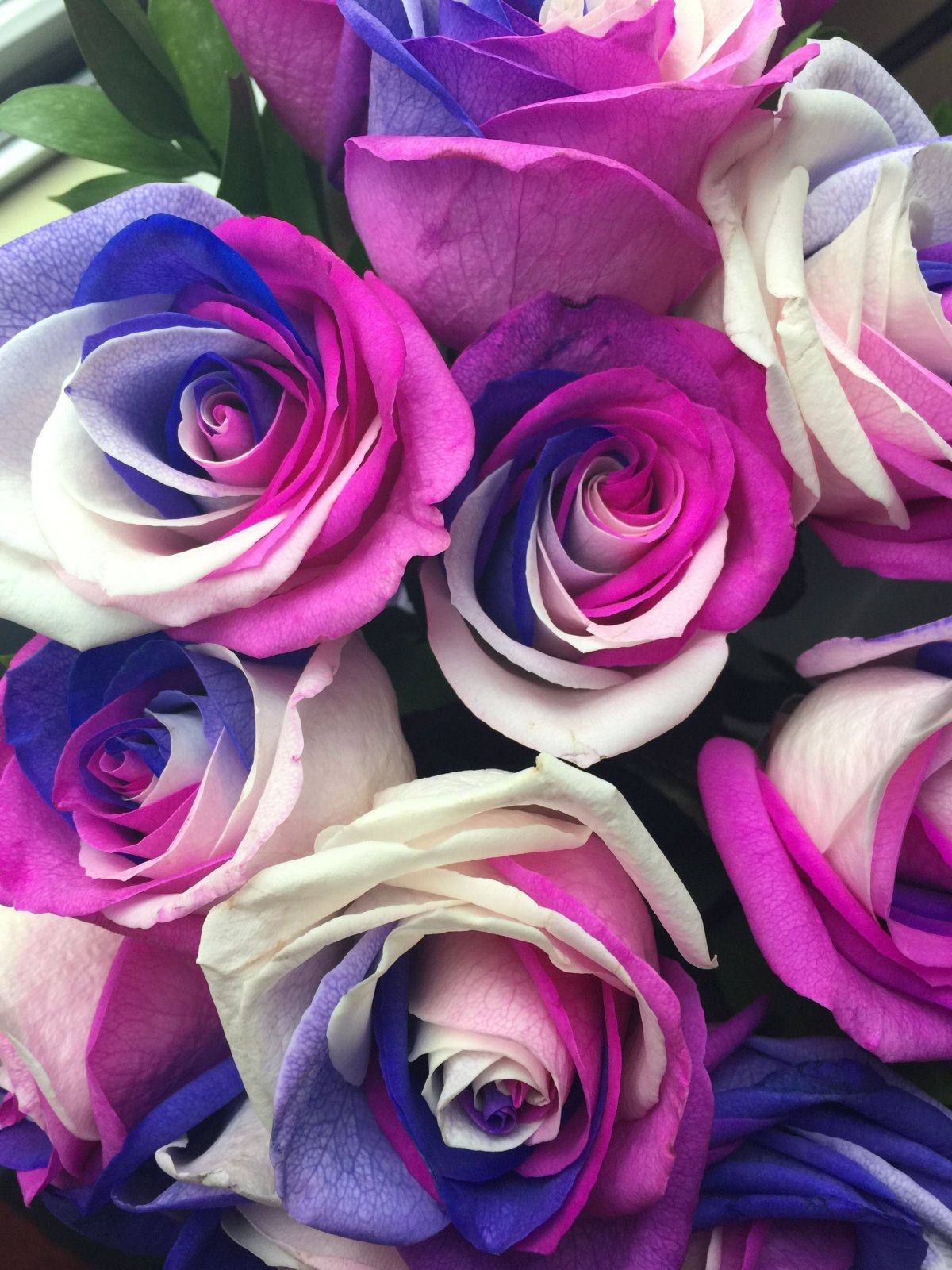 Перпл Иришка (Purple Irischka)