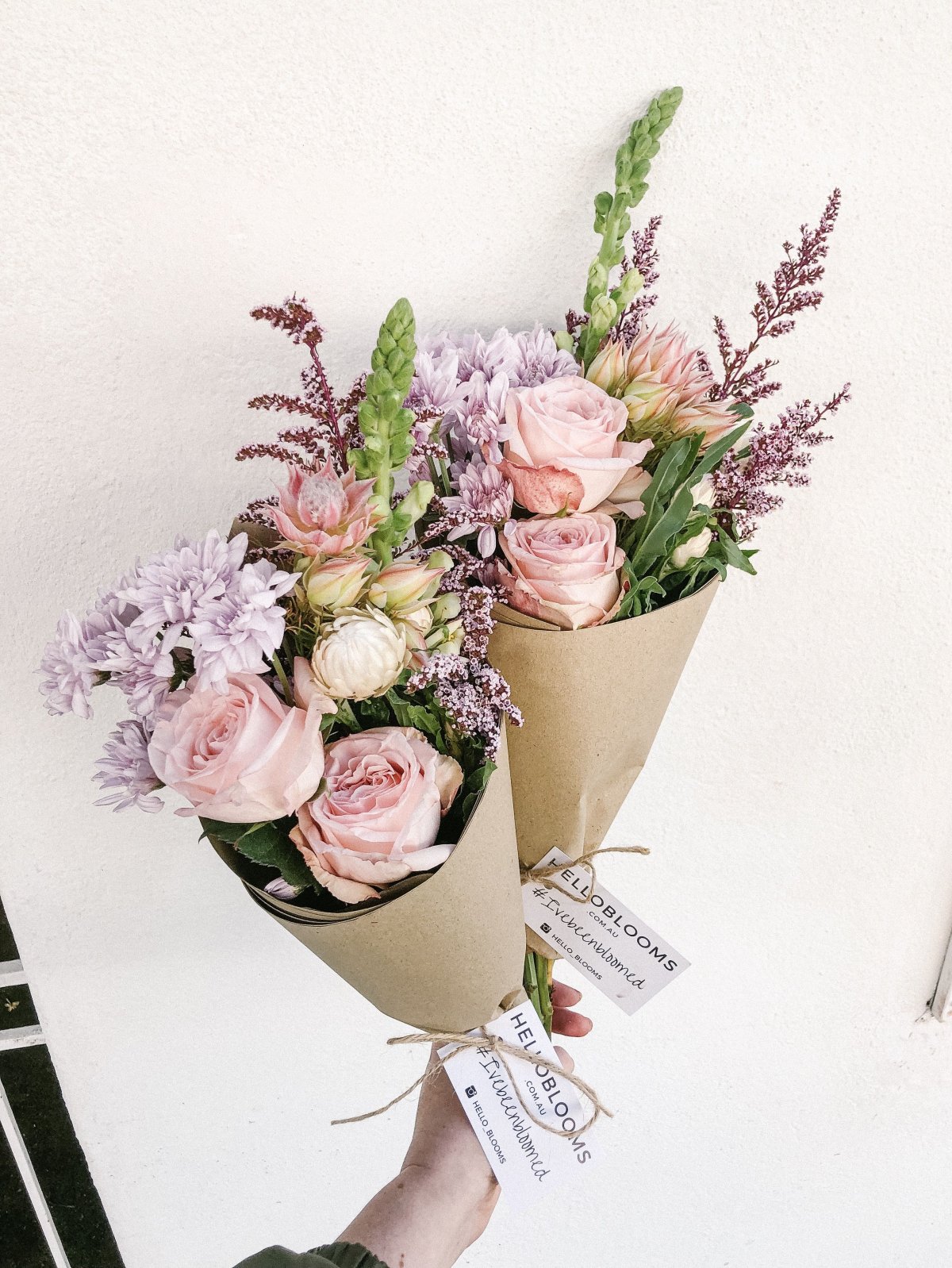 Hello Blooms