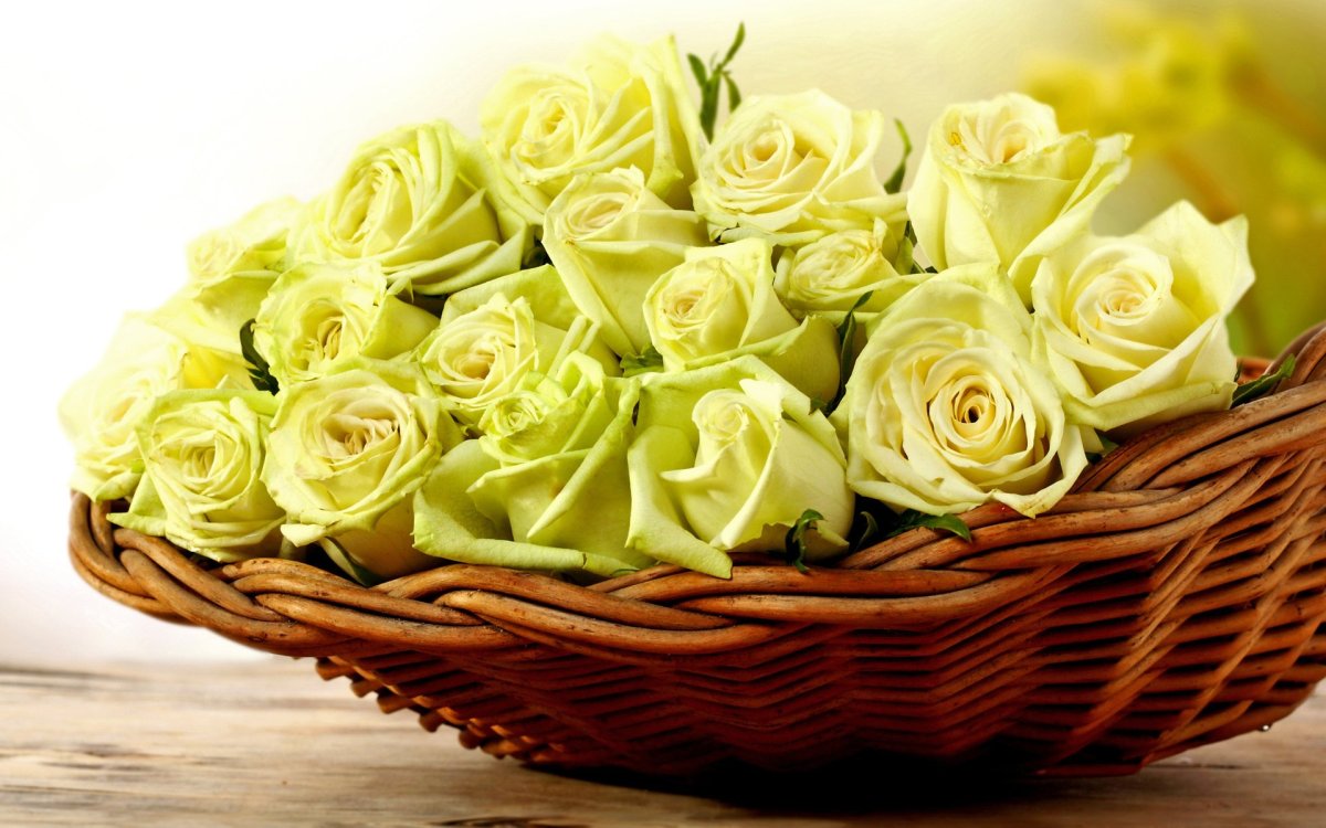 С днем рождения Рафаэлла